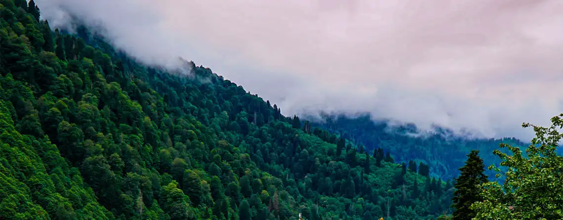 rize-sosyal-medya-yonetimi-ajansi-yuldu