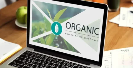 Organik Trafik Nedir ve Nasıl Arttırılır