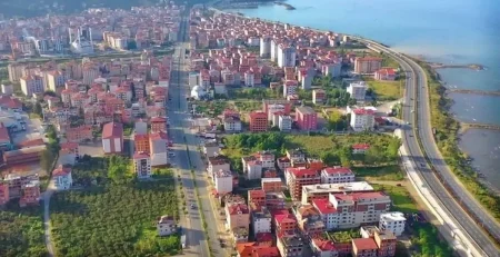 araklı-web-tasarım