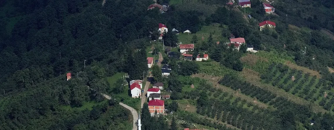 şalpazarı web tasarım