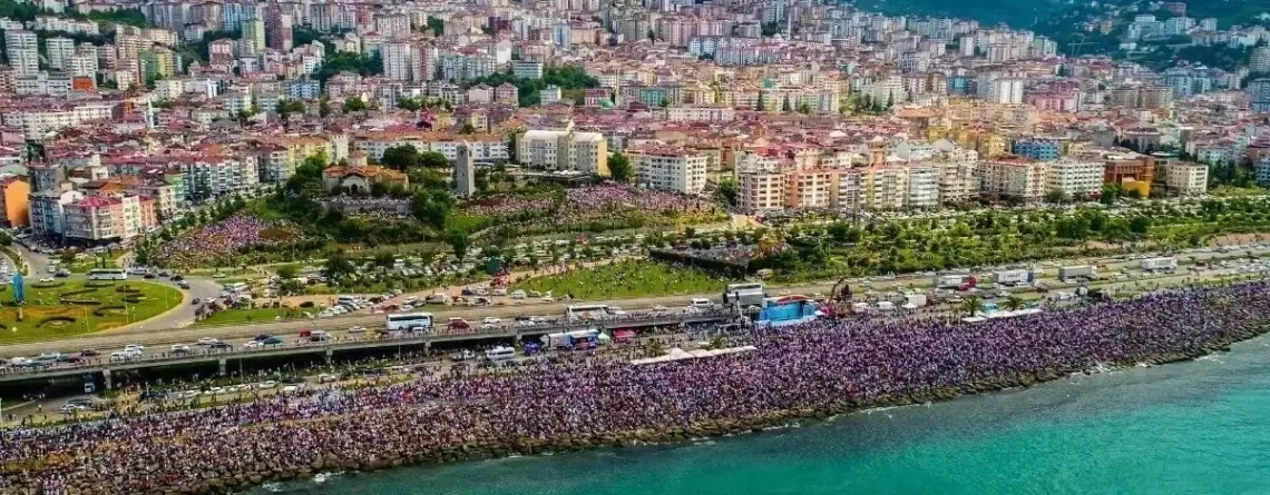 vakfıkebir-web-tasarım